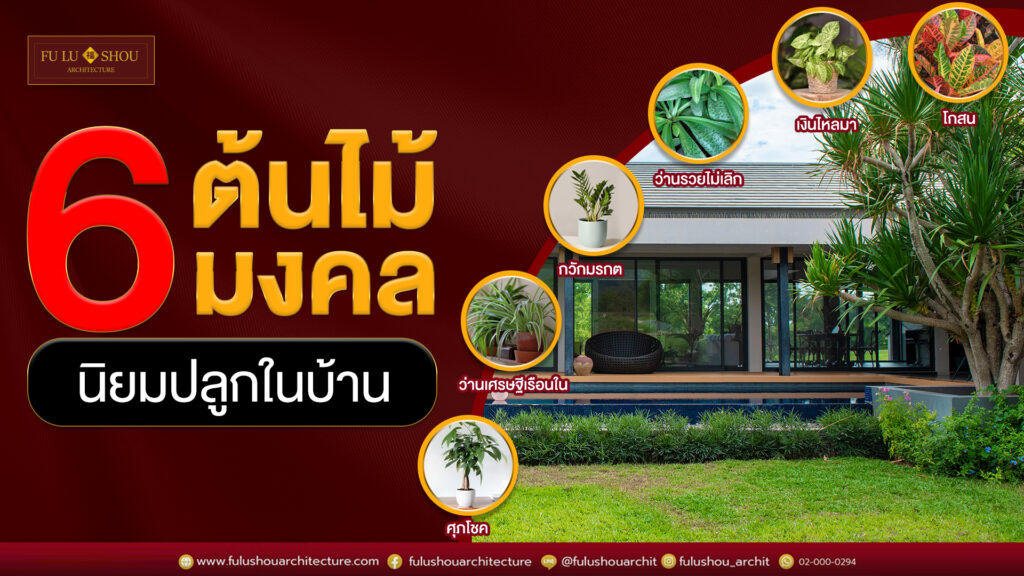 6 ต้นไม้มงคล นิยมปลูกในบ้าน - Fu Lu Shou